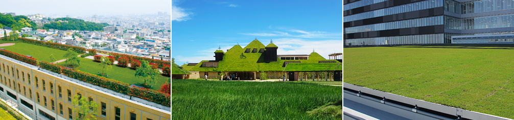 エコグリーンマット | 山崎産業株式会社 屋上緑化・壁面緑化サイト