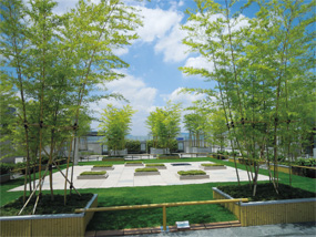 エコグリーンマット500 | 山崎産業株式会社 屋上緑化・壁面緑化サイト